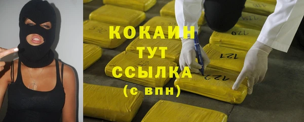 прущий лед Бородино