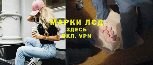 прущий лед Бородино