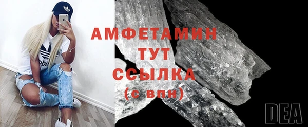прущий лед Бородино